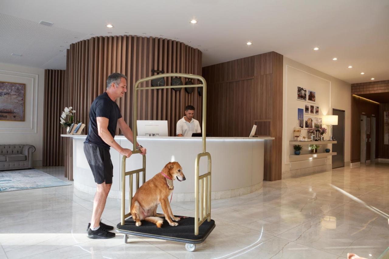 Lefel Hotel São Bento do Sul Exteriér fotografie